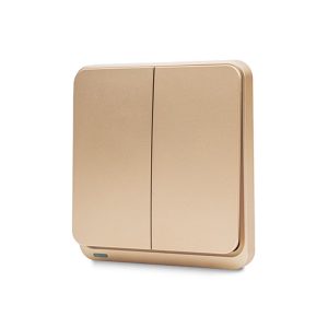 2 Gang Gold Switch